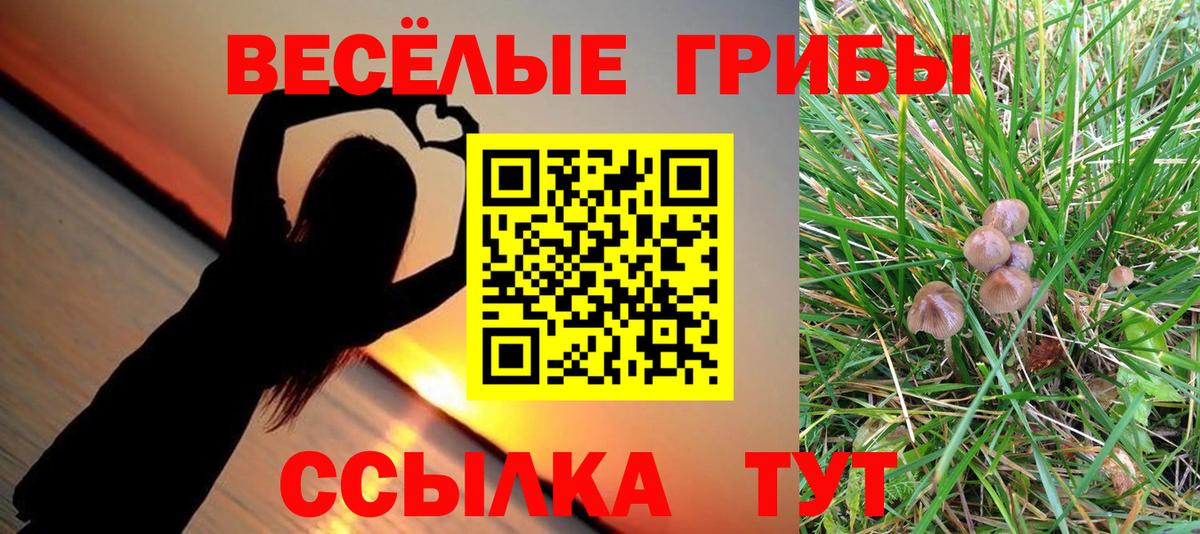 Псилоцибиновые грибы ЛСД Алатырь