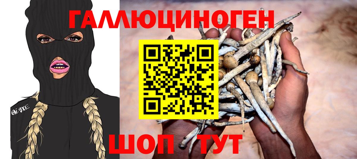 Алатырь  дарнет шоп  Вход с VPN  Псилоцибиновые грибы Magic Shrooms 